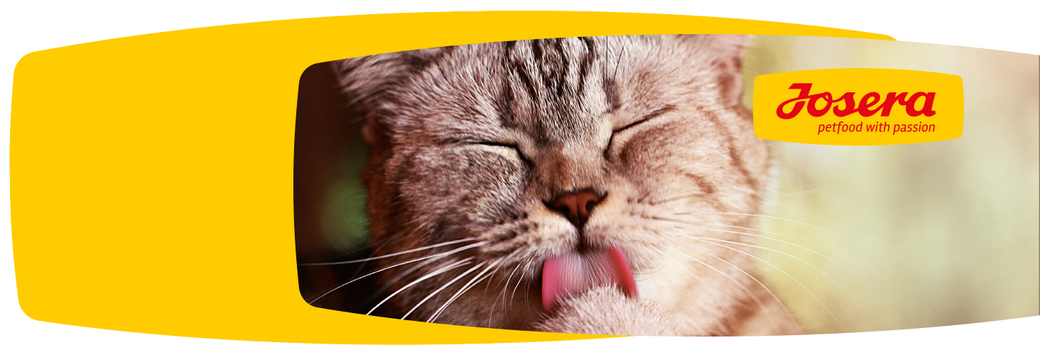 Dobry skład karmy - szczęśliwe zwierzę Dobry skład karmy - szczęśliwe zwierzę