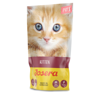 Paté Kitten Paté Kitten