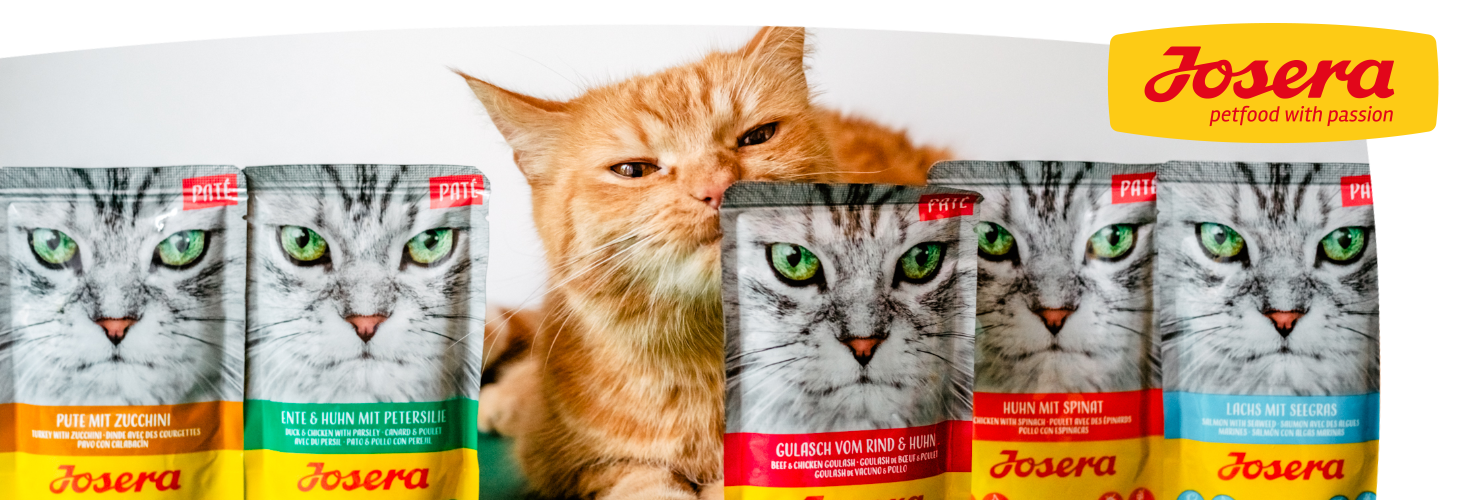 Dobry skład karmy - szczęśliwe zwierzę Dobry skład karmy - szczęśliwe zwierzę